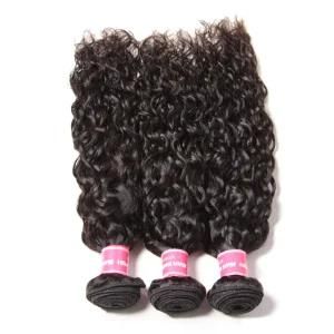 Water Wave Virgin Hair Curly Weaving Human Hair Weft
