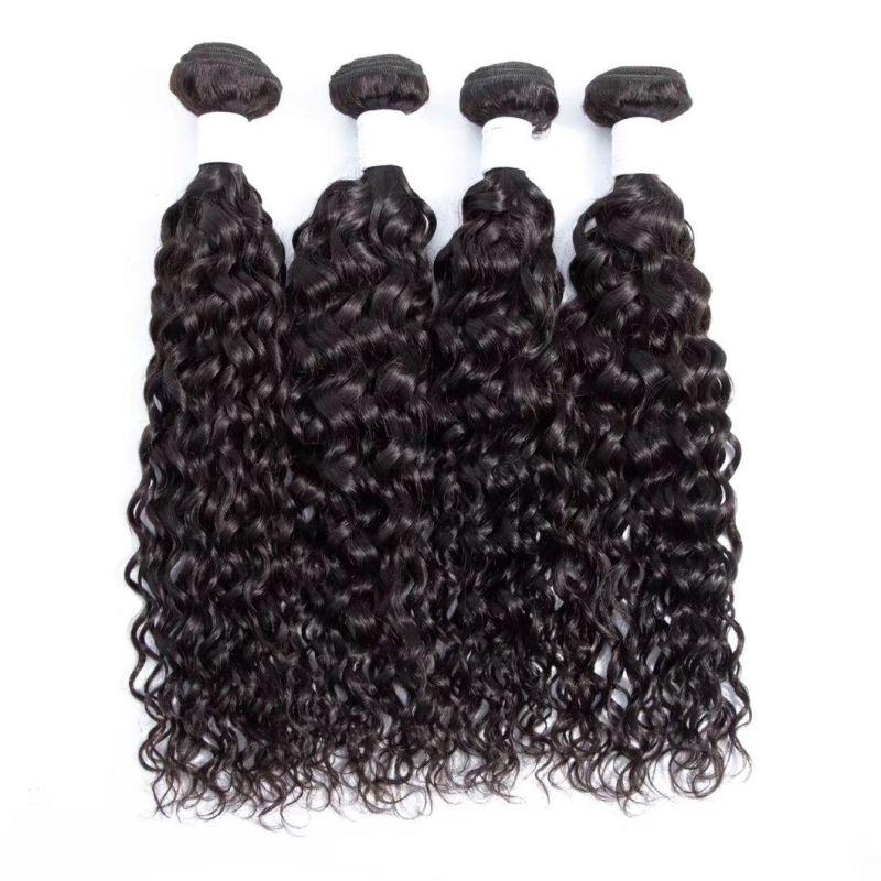 Water Wave Human Hair Weft Bundles with Lace Closures and Frontals