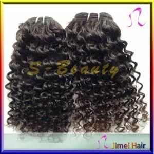 Top Quality Virgin Hair Curly Weft (SB-B-CW)