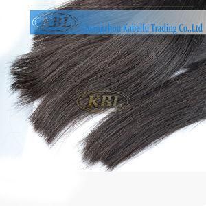 Grade 6A Malaysian Straight Human Hair