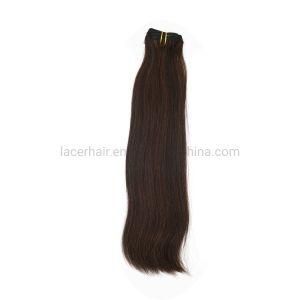 Hot Sale Double Drawn Brazilian Natural Remy Clip Extensions Wholesale Human Hair
