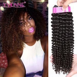 Hot Sellers Yvonne Hair Brazilian Human Hair Extension Kinky Curl Hair Weft