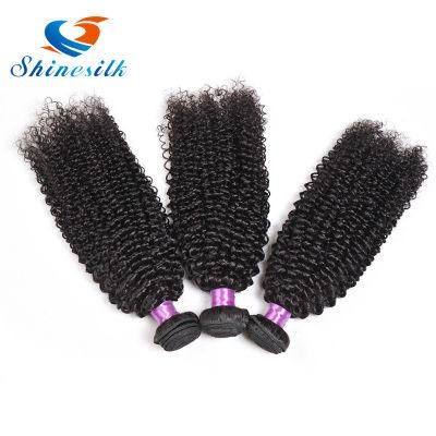 Kinky Curly Brazilian Virgin Remy Human Hair