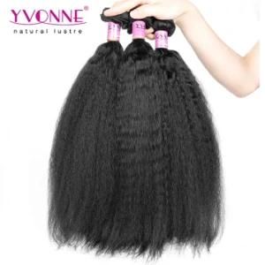 Yvonne Hot Selling Brazilian Kinky Straight Virgin Remy Human Hair Extension