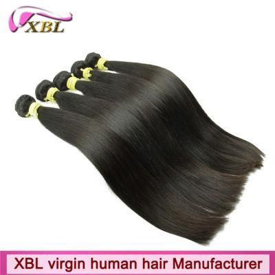 Young Donor Hair Virgin Indian Human Hair Extension