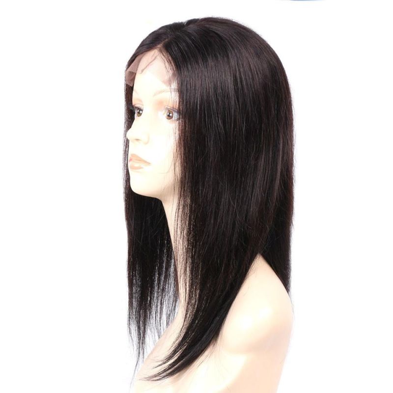 100% Mink Brazilian Human Hair Lace Front Wig