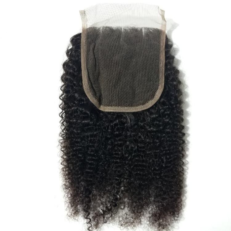 Brazilian Human Hair Extension Afro Kinky Curly Hair