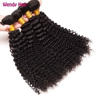 Cheap Raw Indian Curly Hair, Afro Kinky Curly Hair Extension, Curly Hair Bundles