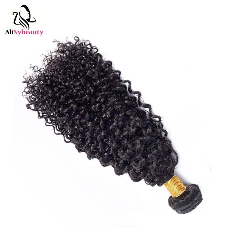 Alinybeauty Best Selling Grade 10A Malaysian Jerry Curly Brazilian Hair