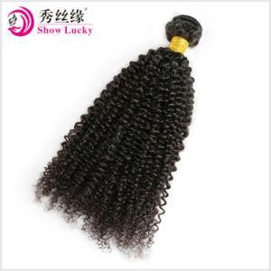 Top Grade Kinky Curly Hair 100% Remy Virgin Peruvian Human Hair Bundles