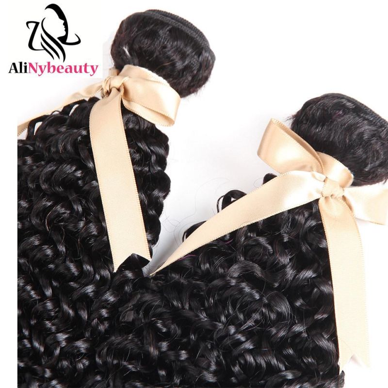 Cheap 100% Brazilian Human Hair Jerry Curly Bundles with Lace Closure