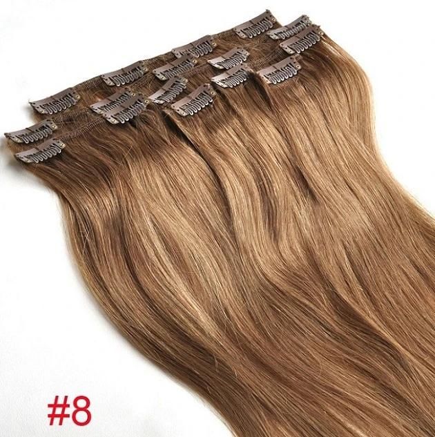 Clip on Hair Extension Remy Clip in Human Hair Extensions (AV-CH009-22)