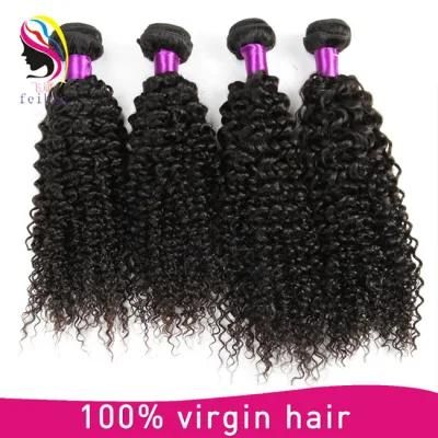 Wholesale Virgin Brazilian Natural Color Kinky Curl Human Hair