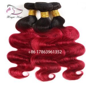 Ombre Color T1b/99j Hair Wefts Brazilian Virgin Hair Body Wave 10-30inch