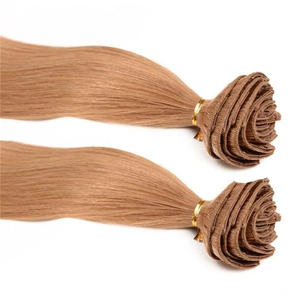 100% Brazilian Clip in Hair Straight