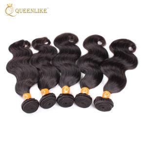 Virgin Indian Hair Best Quality Hair Extensions Human Hair