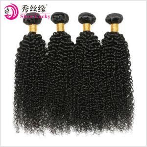 Unprocessed Virgin Human Hair Extension Mongolian Afro Kinky Curly Hair Full Cuticle Natural Black Remy Human Hair Weaving