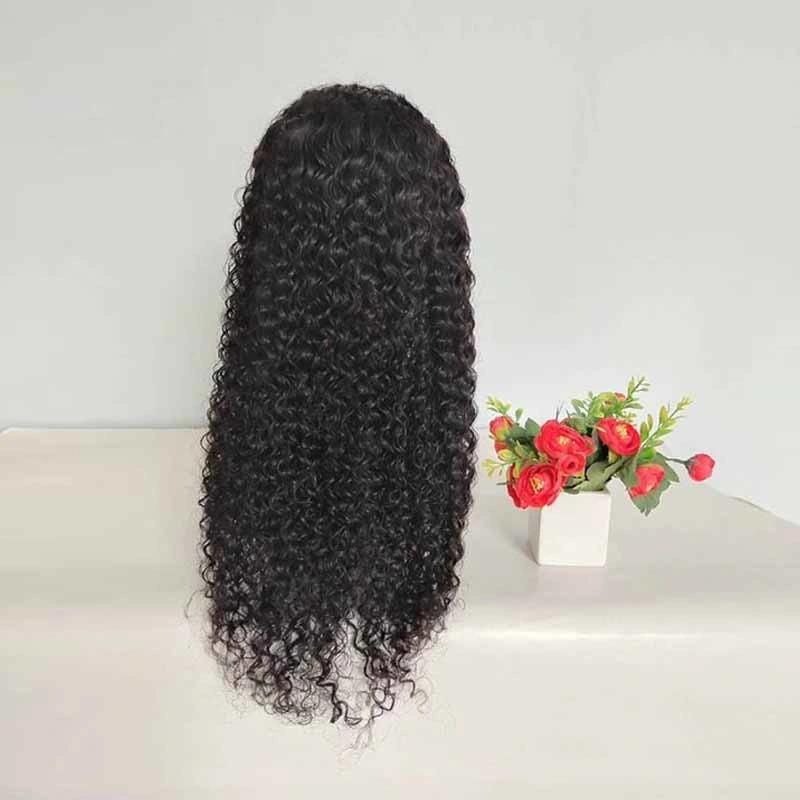Raw Virgin Brazilian Curly Human Hair Lace Wig
