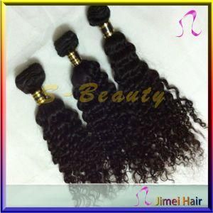 Natural Wet and Wavy Virgin Indian Remy Hair Extension (SB-I-CW)