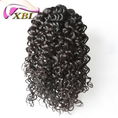 Jerry Curly Fashion Remy Brazilian Hair