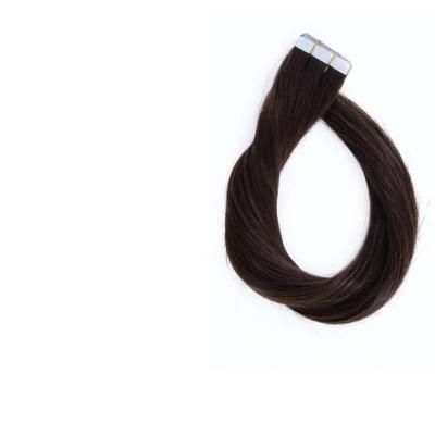 Remy Human Extensions 2.5g/Stand 20PCS/Pack Tape Skin Weft Hair