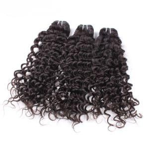 Wholesale Raw Unprocessed Virgin Indian Human Hair Extension
