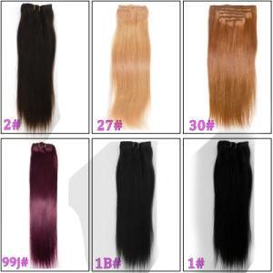 Silky Straight 100% Human Hair Clip in Hair Extension