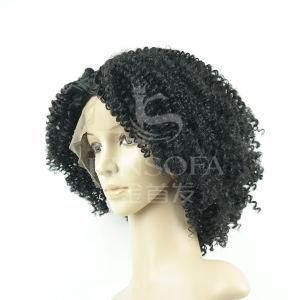 100 % Human Hair Machine Made Wig (Kinsofa 243432-1)