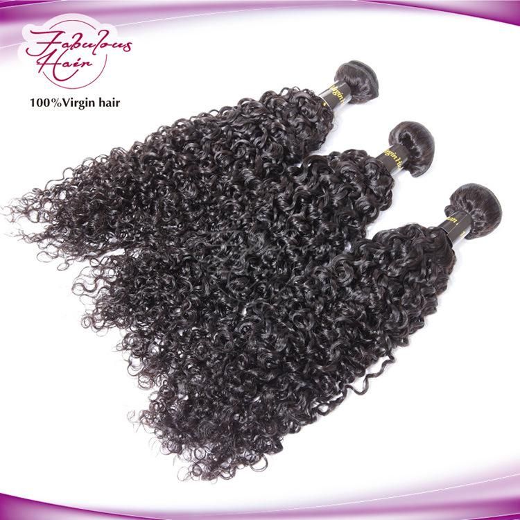 Hot Selling Curly Indian Human Hair Remy Virgin Hair