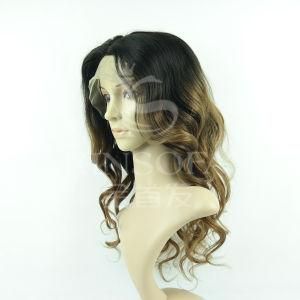 100% Human Hair Wig (kinsofa 244090)