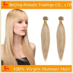 Straight Human Hair Extension Brazilian Virgin Hair Unprocessed Remy Hair