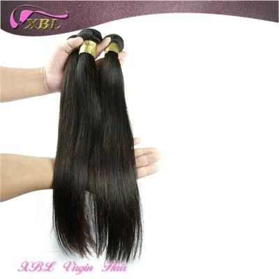 Top Quality 7A Raw Brazilian Human Hair