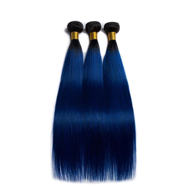 Straight Ombre Hair Bundles with Closure Blue Brazilian Human Hair Weave Bundles with Closure Remy Hair