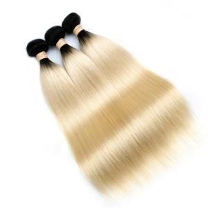 Wholesale Price Ombre Blonde 1b/#613 Virgin Brazilian Human Hair Virgin Hair Weft for Sale
