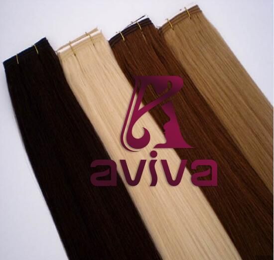 Human Hair Extension Virgin Hair Extension Straight T Color Hair Extension (AV-HW09)