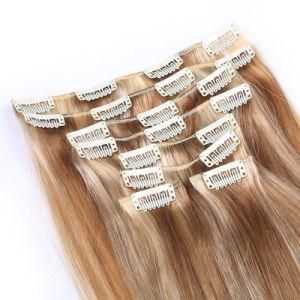 Mulit-Clolr Brazilian Straight Hair Extension Human Hair Clip in Human Hair Extension
