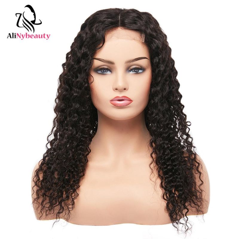 Alinybeauty 100% Virgin Human Hair Jerry Curly Lace Front Wig