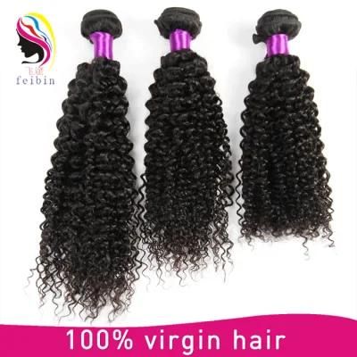 Wholesale 8A Grade Hair Virgin Remy Brazilian Kinky Curly Hair