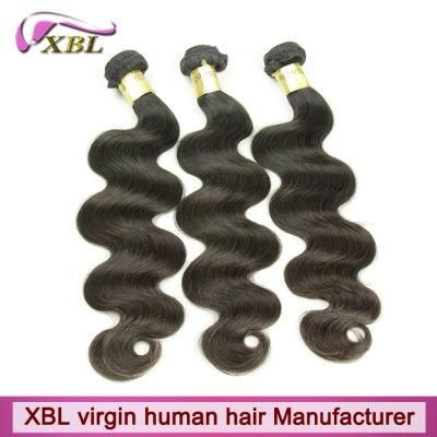 Unprocessed Full Cuticle Body Wave Brazilian Virgin Human Hair