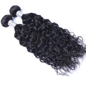 Remy Hair Weave&#160; Peruvian Water Wave Extensions