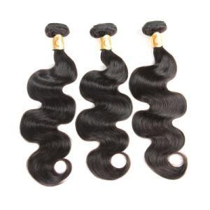 Indian Virgin Double Drawn Human Remy 100 Unprocessed Hair Weft