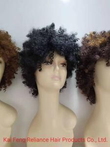 Wholesale Synthetic Hair Wig (RLS-407)