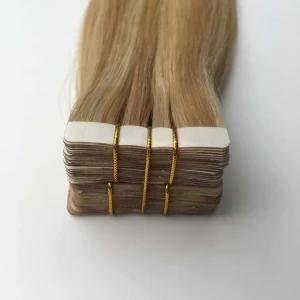 #P10/613 Us PU Skin Weft Brazilian Virgin Remy Human Hair Extensions
