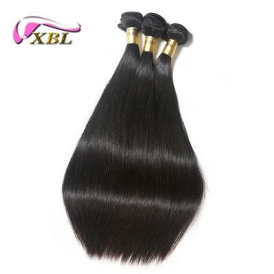 30 Years Experience Factory Wholesale 10A Virgin Human Hair