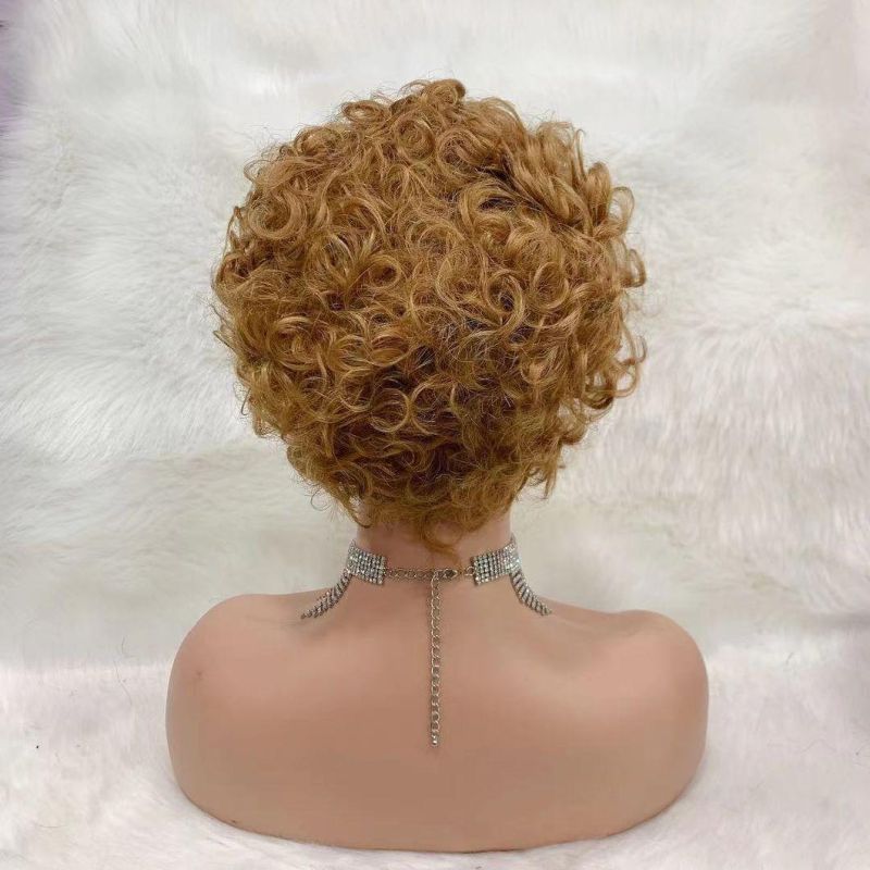 Mink Virgin Human Hair Wig 6 Inch Pixie Wigs Colored Human Hair Wig