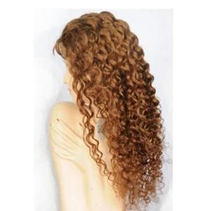 Unprocessed European Hair Front Lace Jewish Wig