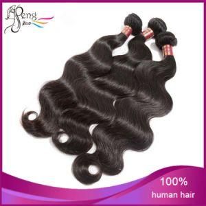 Wholesale Human Hair Straight Human Hair