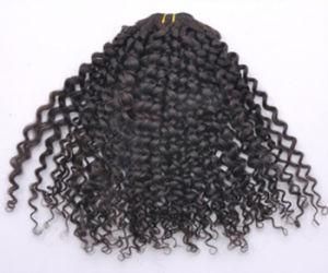 Kinky Curly Human Hair Extension