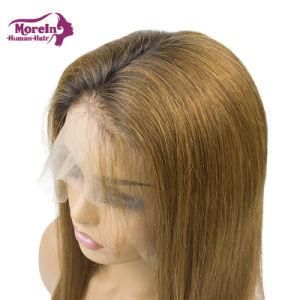 Top Quality HD Lace Brazilian Hair Full Lace Long Colored Straight Human Hair Wigs