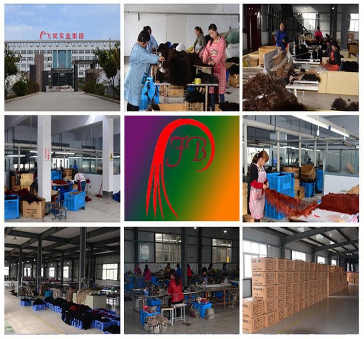 Factory Price Deep Human Wave Brazilian Human Hair Weaving